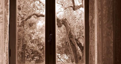 Argentella House - Panoraamahuvila puutarhalla