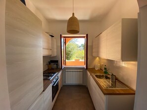 Fridge, oven, stovetop, dishwasher