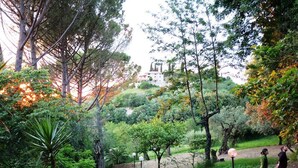 Un jardín exuberante con diversas plantas y árboles, un sendero y un edificio al fondo.