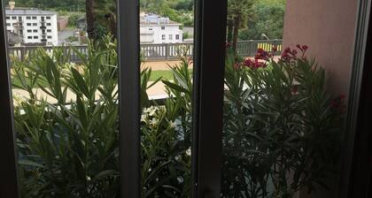 Pau facing the Pyrenees