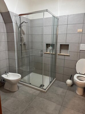 Bathtub, hair dryer, bidet, towels