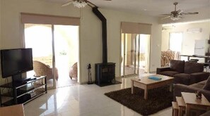 TV, fireplace, video games, DVD player