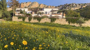 A modern house with stone walls, a balcony, and a garden with yellow flowers. - Refurbished holiday apartment in an Andalusian farmhouse in The Lake District (Antequera)