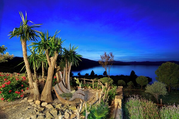 A garden with a hammock, palm trees, and a view of a lake at night.