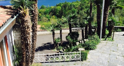 Traumhafte Aussicht auf See und Berge inmitten von Reben sehr ruhig
🌴🌴🌴🌴