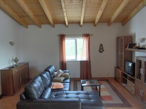 TV, fireplace, DVD player, books