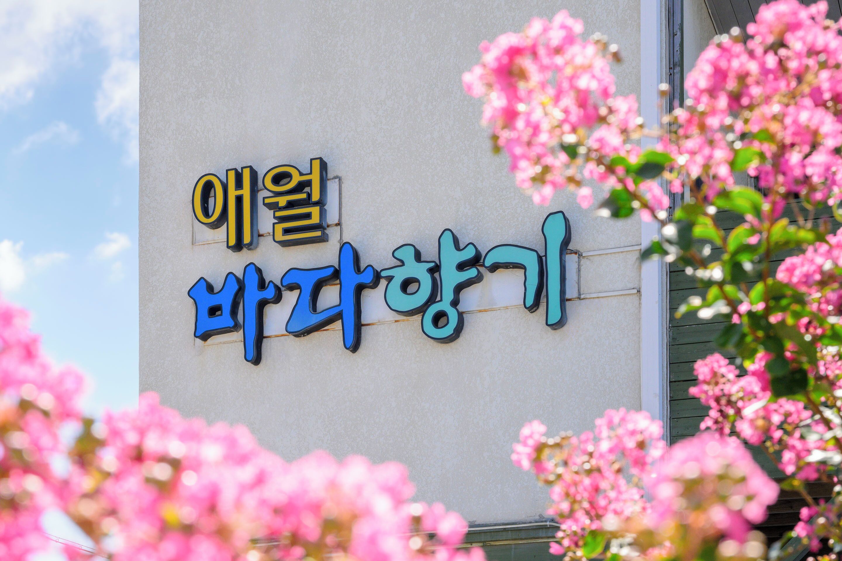 A building with Korean signage and pink flowers in the foreground.