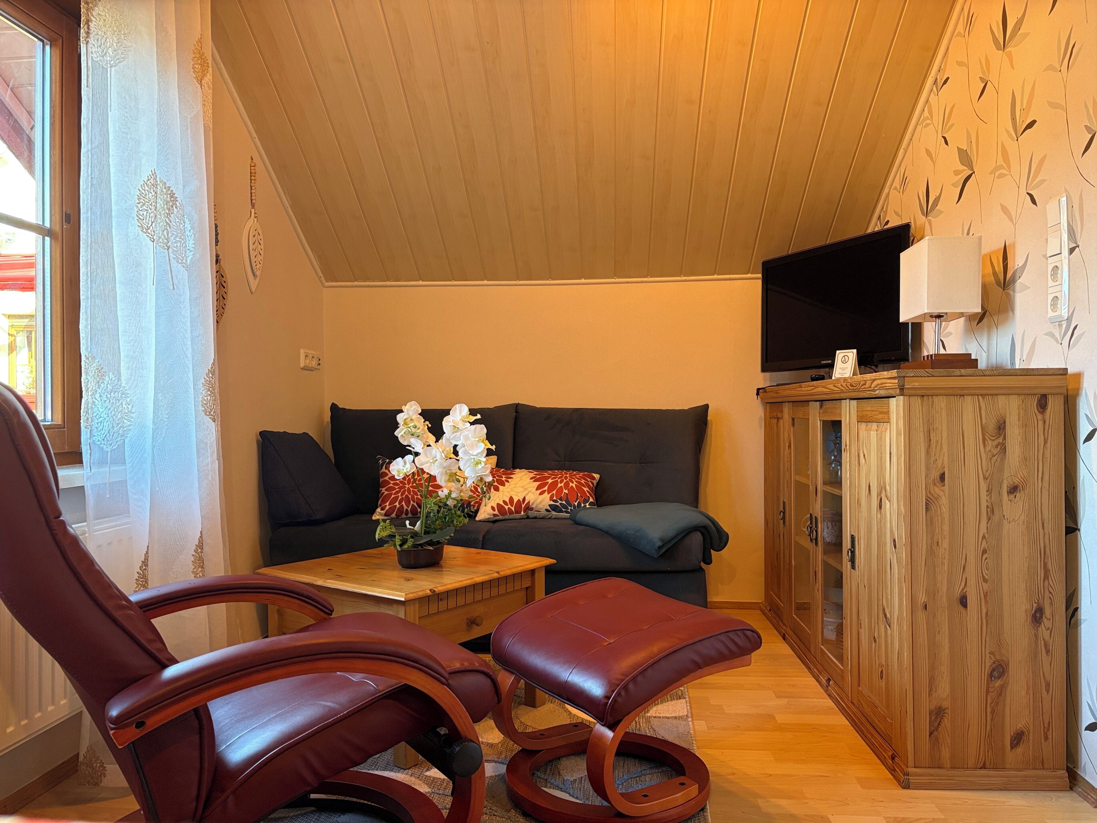 Smart-tv, een open haard, een dvd-speler en boeken