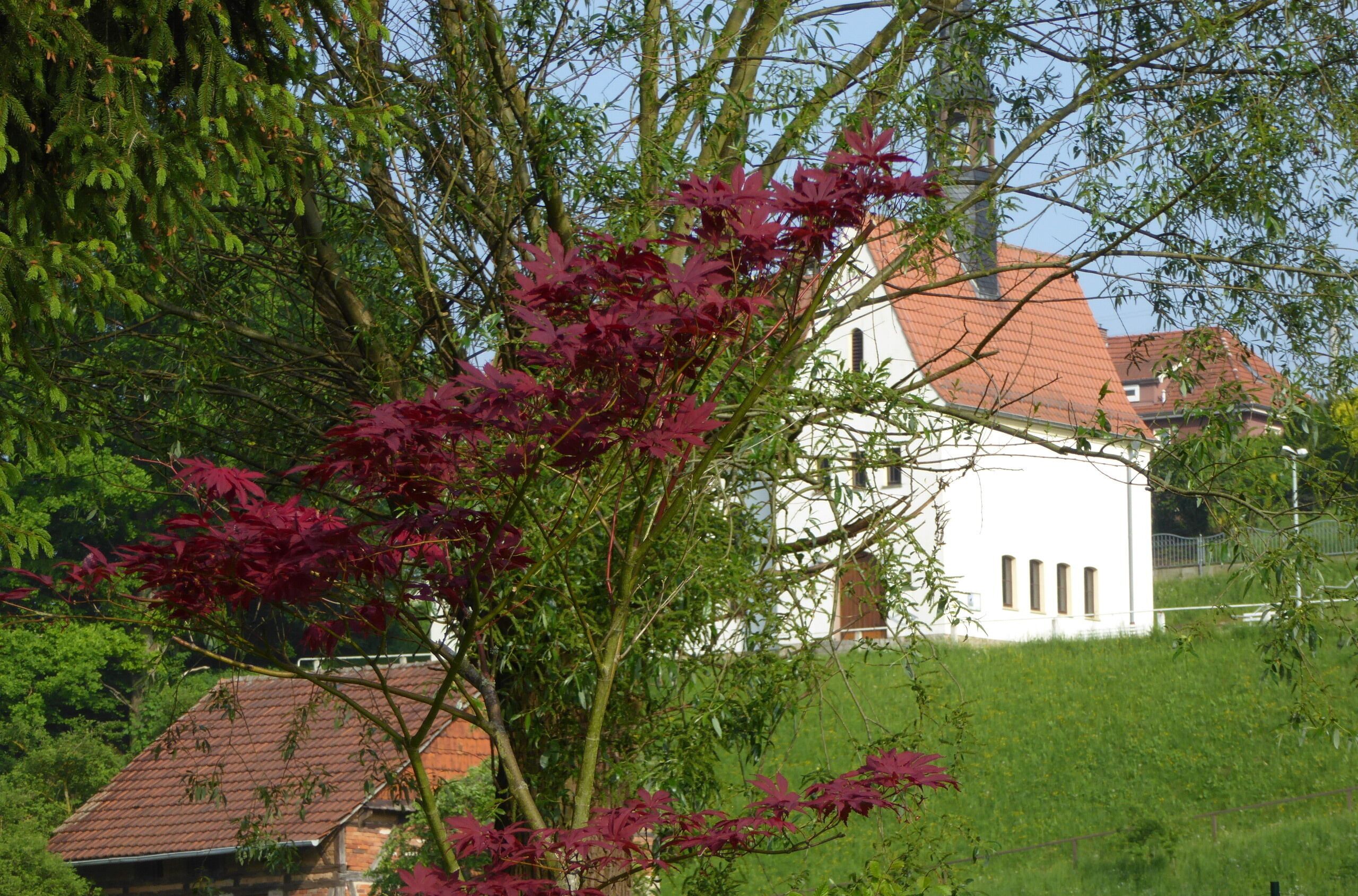 Un bâtiment blanc avec un toit rouge, entouré de verdure et d’arbres.