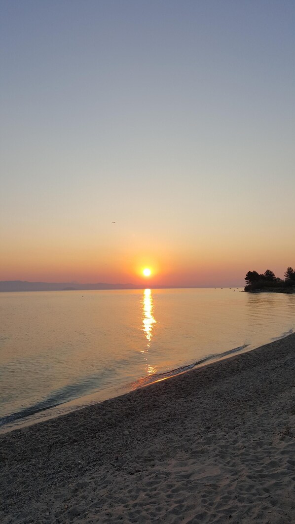 Ranta lähistöllä, aurinkotuoleja