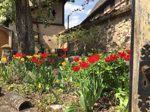 Winzerhaus XVI. Jahrhundert