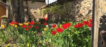 Winzerhaus XVI. eeuw