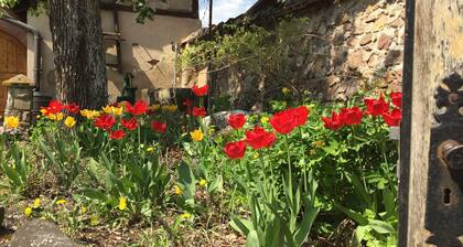 Maison vigneron XVI. SiĂšcle