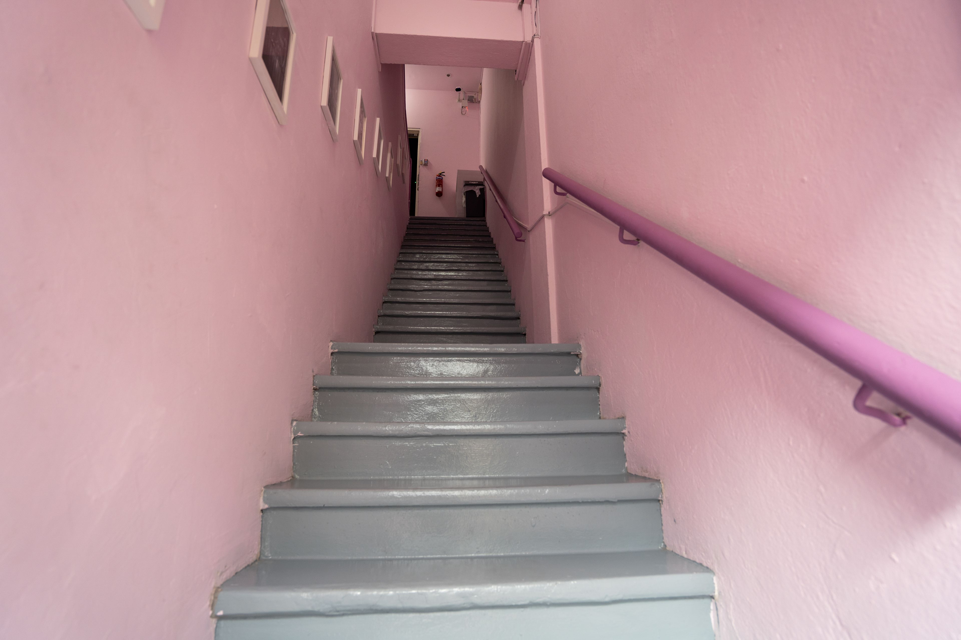 Eine Treppe mit einer violetten Handlauf, der zu einer Tür oben führt.