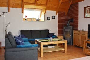 Fernseher, Kamin, DVD-Player, Bücher