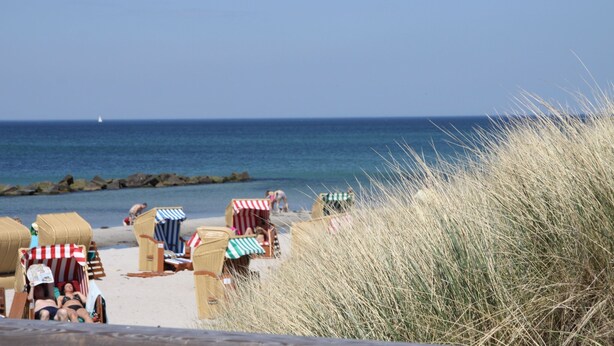 A beach with beach chairs and umbrellas, a sandy shore, and the ocean in the background. - Flooded with light, close to the center, WLAN, 400 m z. Beach (Zingst)