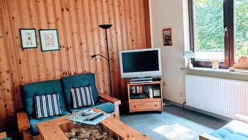 Fernseher