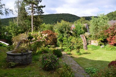 Large 4* house 240 sqm, centrally located, Eifel National Park, hiking trails