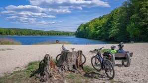 Una playa arenosa con un lago, árboles y un banco de madera con dos bicicletas y cascos.