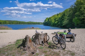Una playa arenosa con un lago, árboles y un banco de madera con dos bicicletas y cascos.