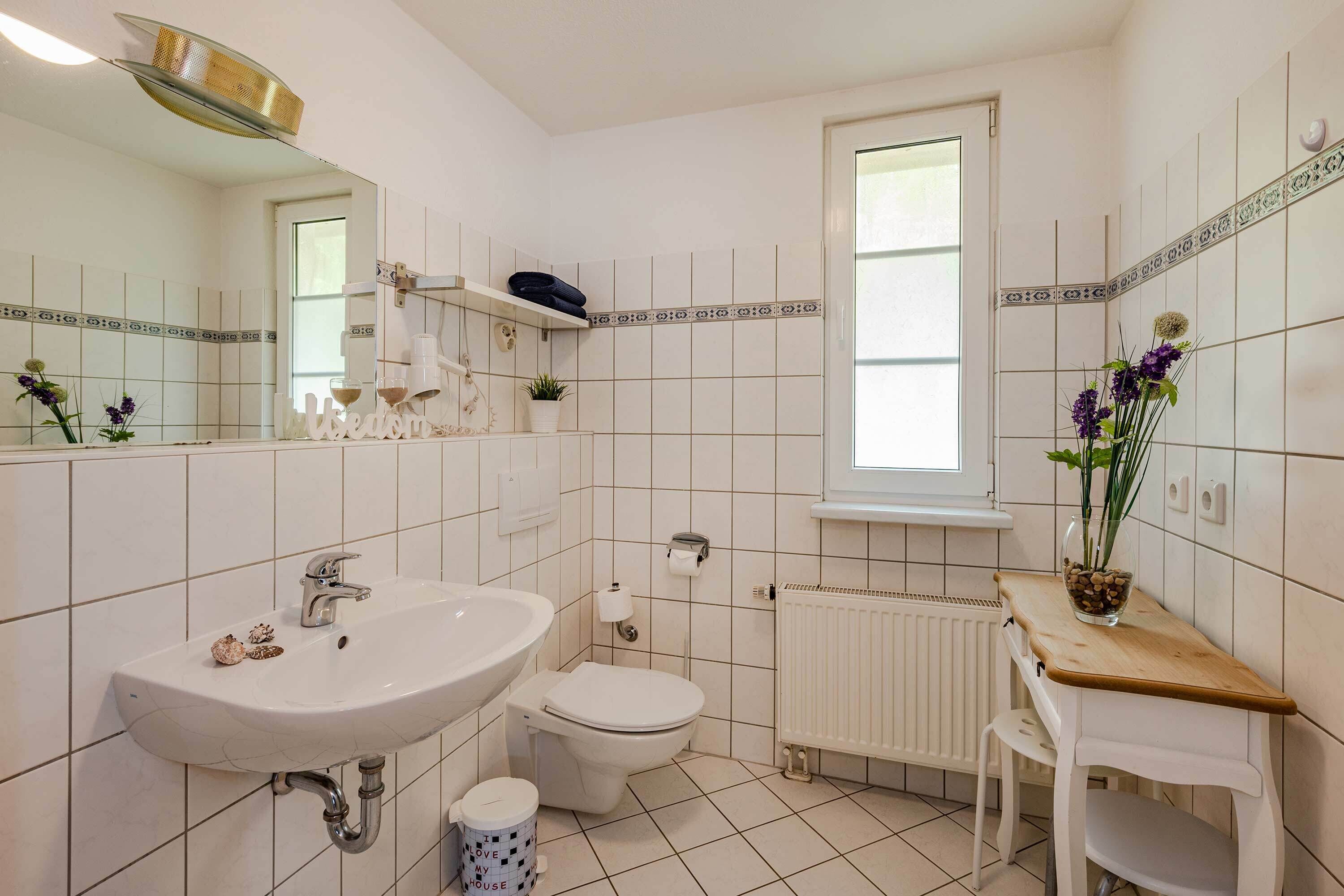 Dusche, Haartrockner