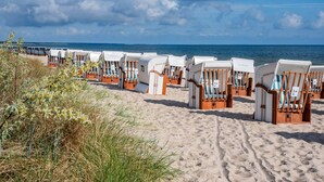 Strandstoelen rijën over een zandstrand met uitzicht op de zee.