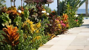 A garden with various plants and a tiled walkway. - Authentic Beachvilla with cook, private pool, staff and lush tropical garden (Seririt)