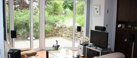 Televisión, chimenea, reproductor de DVD y futbolito