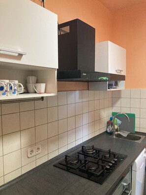 Fridge, stovetop, dishwasher, coffee/tea maker - 8 min to the city, apartment for up to 7 people, 4 rooms, 94m², terrace in the countryside (Leipzig)