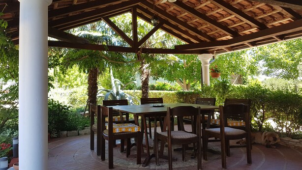 A covered outdoor seating area with a table and chairs, surrounded by lush greenery and a brick floor.