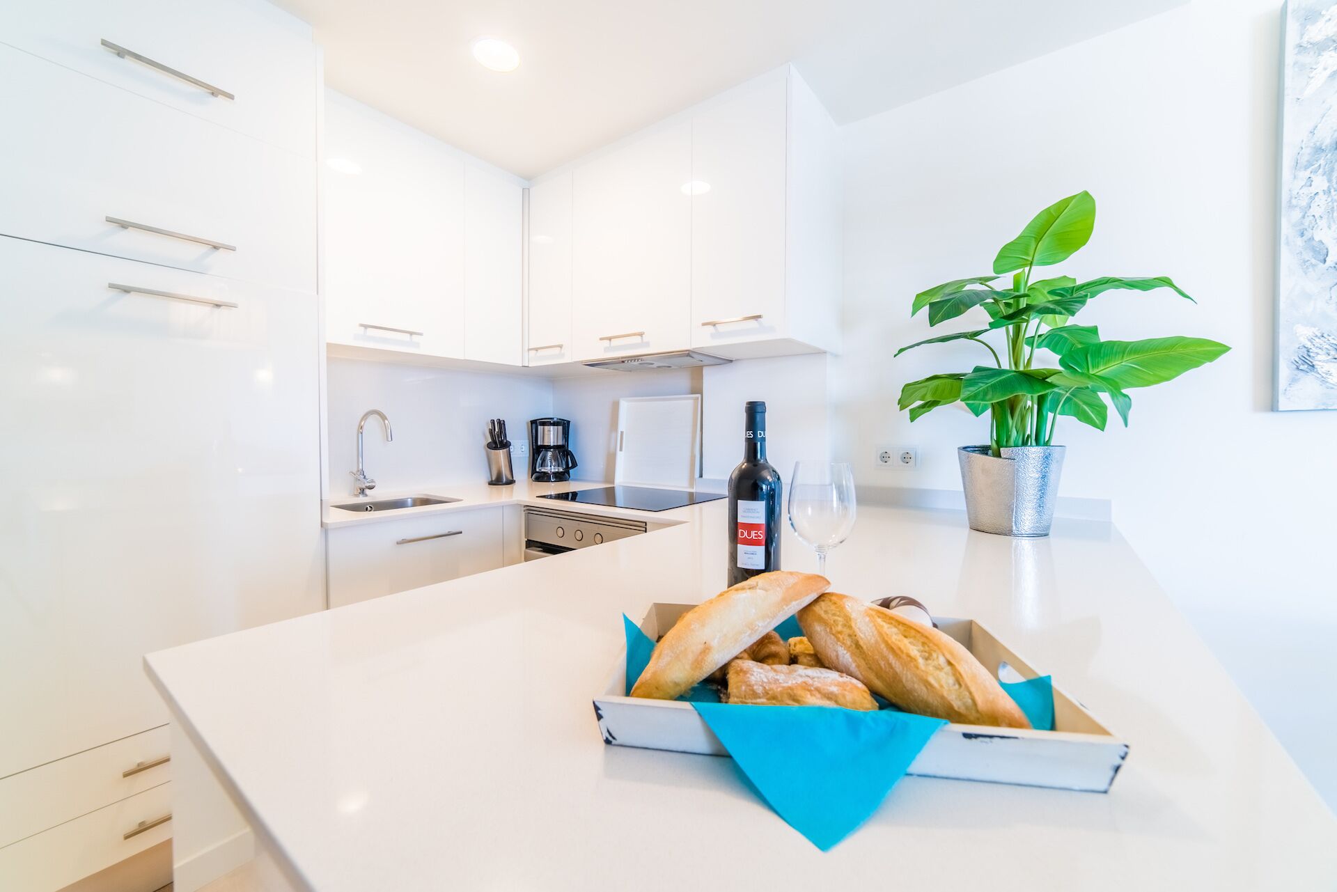A modern kitchen with white cabinets, a coffee maker, a wine bottle, and a potted plant.