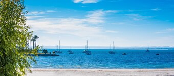 Sustainable rural finca Sa Sort Mallorca with pool