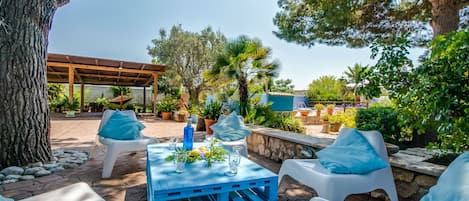 Un espace extérieur aménagé avec une table bleue et des chaises blanches, entouré d’arbres et de plantes.