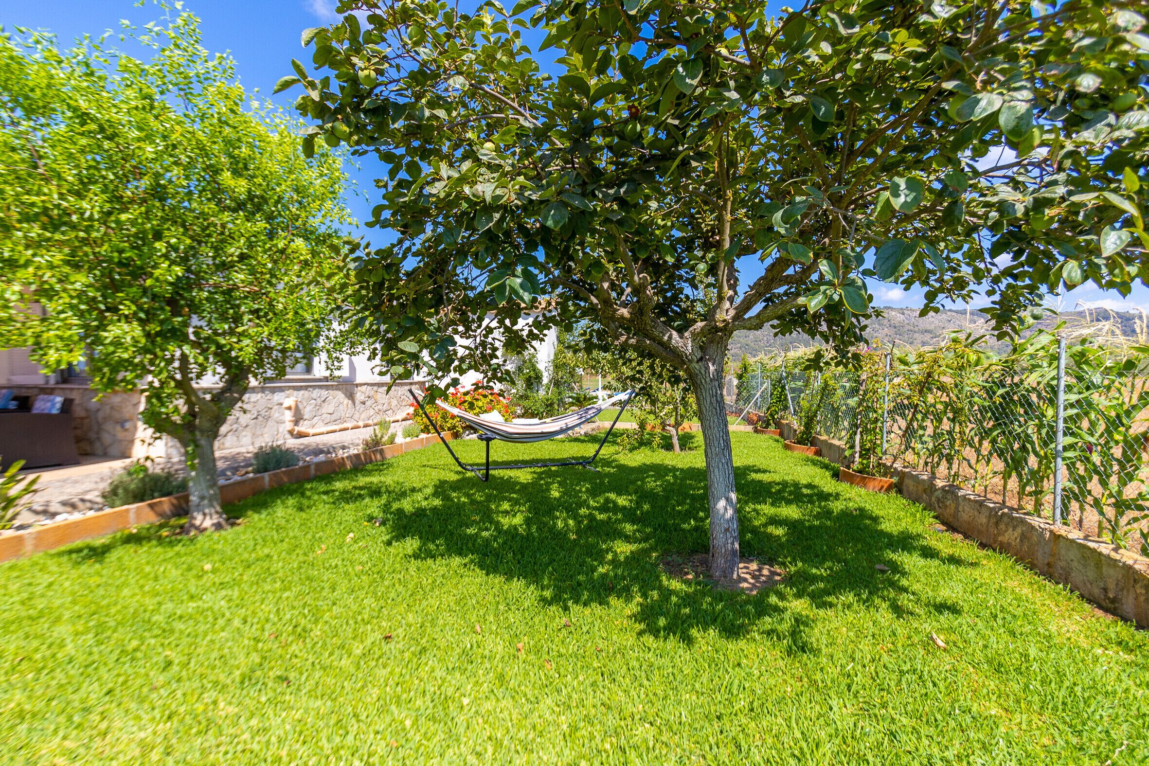 Un jardin avec un hamac, un mur de pierre et une vue sur une montagne.