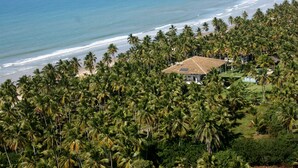 Uma propriedade costeira com vista para a praia, rodeada por palmeiras densas.