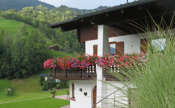 Exterior detail - Comfortable vacation apartment with a wonderful view, simply to feel good (Silbertal)