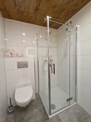 Ducha, toallas, papel higiénico