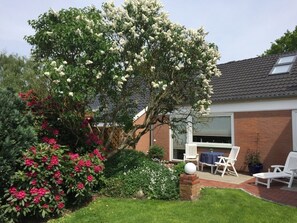 Immagine non classificata, 5 di 16, pulsante