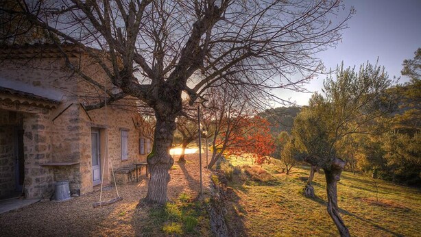 Un bâtiment rustique en pierre, avec un grand arbre devant, un banc et une zone herbeuse bordée d’arbres en arrière-plan.