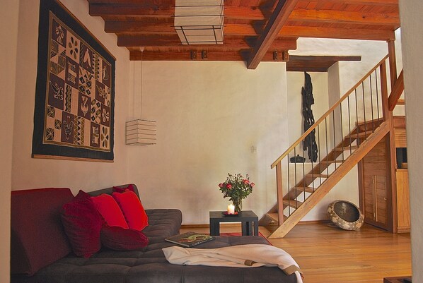 Smart TV, fireplace, books