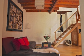 Fireplace, DVD player, books, video library