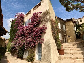 Exterior - Holiday home in the hills of the Côte d'Azur (Le Plan-De-La-Tour)