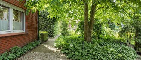 Àrea exterior de l'allotjament