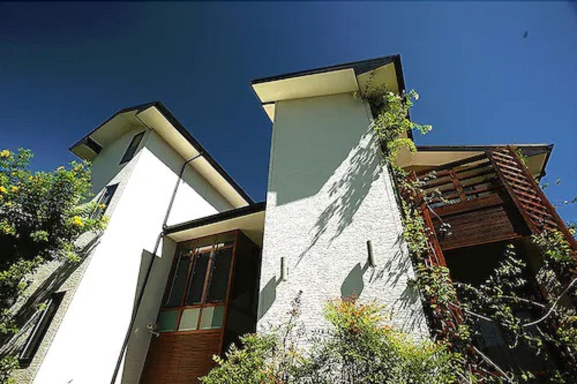 Un edificio moderno con fachada blanca, una puerta de madera y un pequeño jardín con plantas.