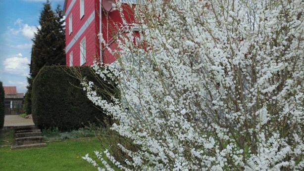 Un bâtiment rouge aux ornements blancs, entouré d’un jardin bien entretenu où poussent des arbustes en fleurs.