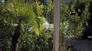 Un espace extérieur abrité, doté d’un sol carrelé et entouré de différentes plantes et arbres.