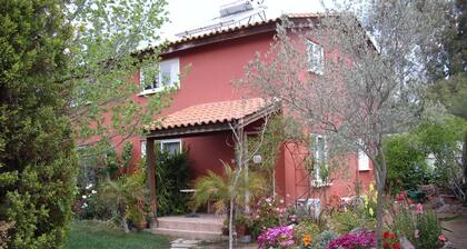 Rural apartment in Cyprus