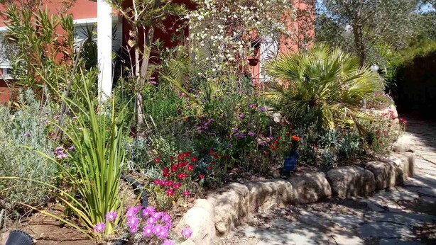 Un jardin avec différentes plantes et fleurs, un chemin en pierre et un bâtiment à la façade rouge.
