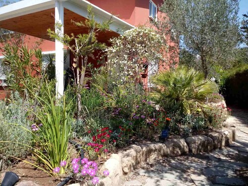 Rural apartment in Cyprus