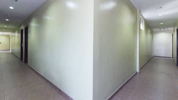 门厅